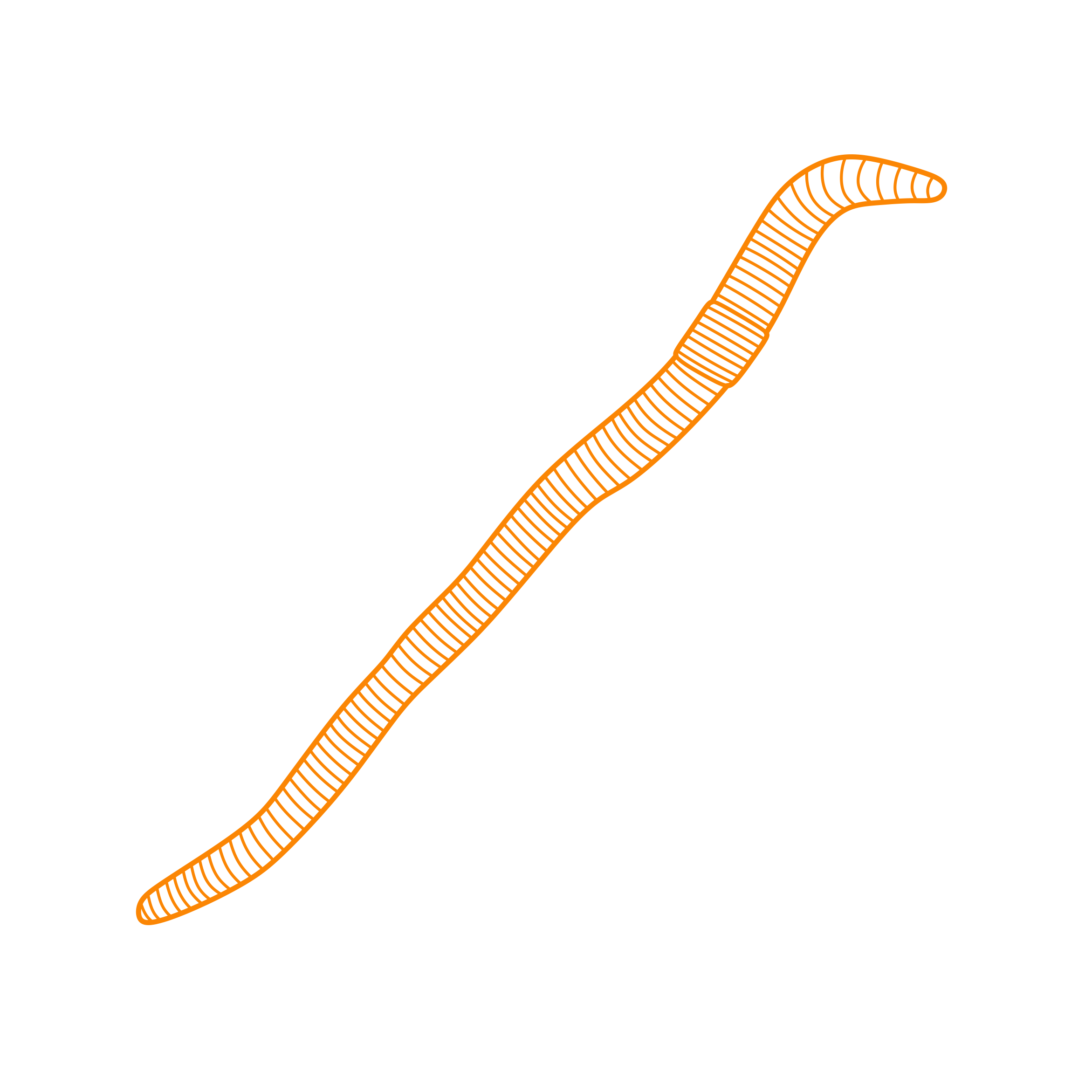 Animals Worms Redworm Line Tracing Svg Vector Free Vectors